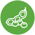 soya-urunleri